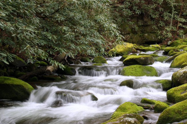 Обои картинки фото gatlinburg, tennessee, природа, реки, озера, теннесси, река, камни, лес, гатлинбург