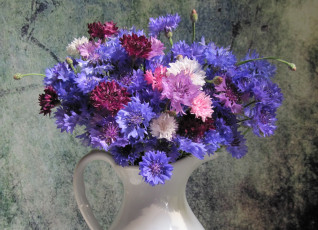 Картинка цветы васильки букет