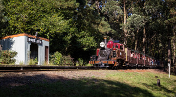 обоя техника, паровозы, вагоны, паровоз, рельсы, дорога, железная