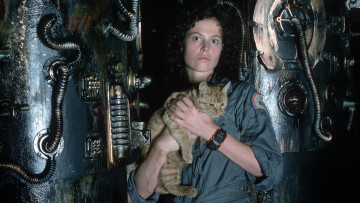 Картинка кино+фильмы alien рипли фантастика Чужой weaver кот sigourney