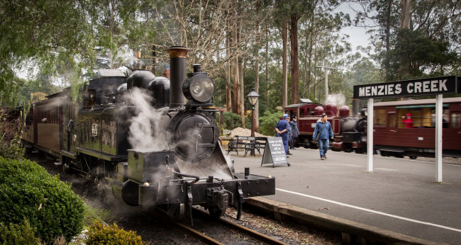 Обои картинки фото техника, паровозы, дорога, железная, вагоны, паровоз, рельсы