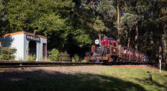 Обои картинки фото техника, паровозы, вагоны, паровоз, рельсы, дорога, железная