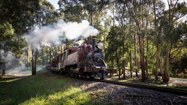 Обои картинки фото техника, паровозы, вагоны, паровоз, рельсы, дорога, железная