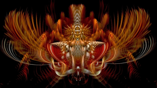 Обои картинки фото 3д графика, фракталы , fractal, цвета, фон, узор