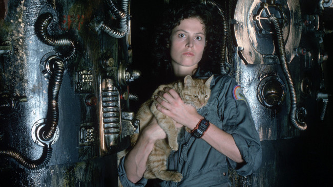 Обои картинки фото кино фильмы, alien, рипли, фантастика, Чужой, weaver, кот, sigourney