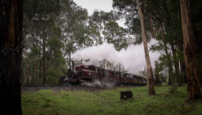 Обои картинки фото техника, паровозы, вагоны, паровоз, рельсы, дорога, железная