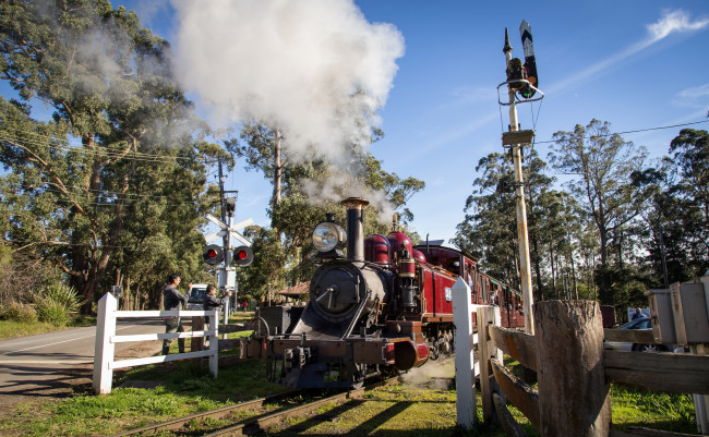 Обои картинки фото техника, паровозы, дорога, железная, вагоны, паровоз, рельсы