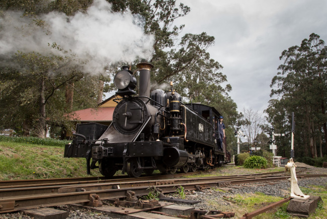 Обои картинки фото техника, паровозы, вагоны, паровоз, железная, дорога, рельсы