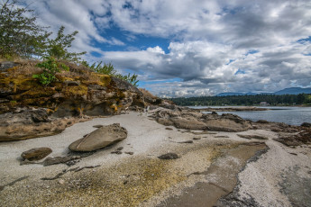 Картинка природа реки озера река лес