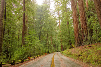 Картинка природа дороги тракт