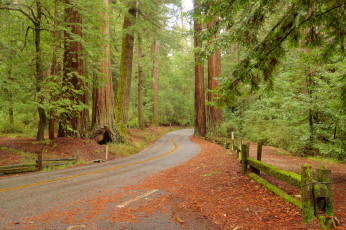 Картинка природа дороги тракт