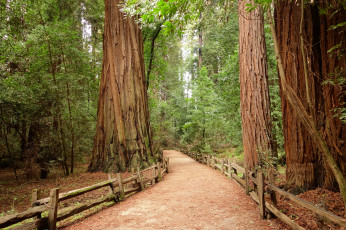 Картинка природа дороги тракт