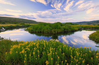 Картинка природа реки озера лес река