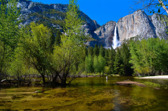 Картинка природа реки озера река лес