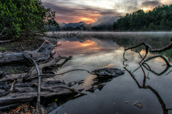 Картинка природа реки озера река лес