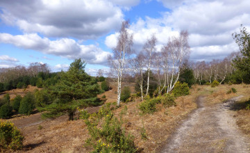 Картинка природа дороги тракт