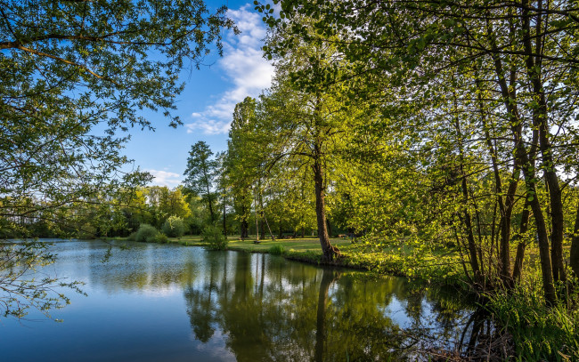 Обои картинки фото природа, реки, озера, река, лес