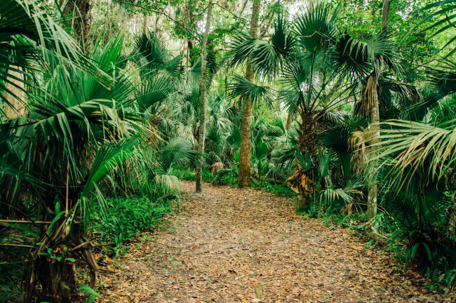 Обои картинки фото природа, дороги, тракт