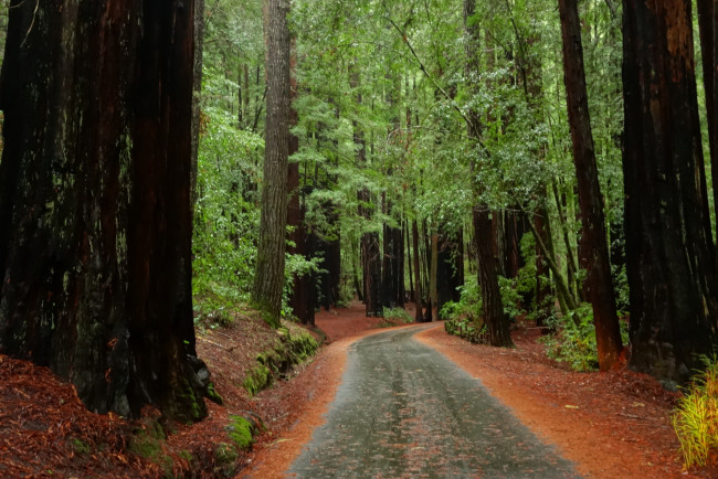 Обои картинки фото природа, дороги, тракт