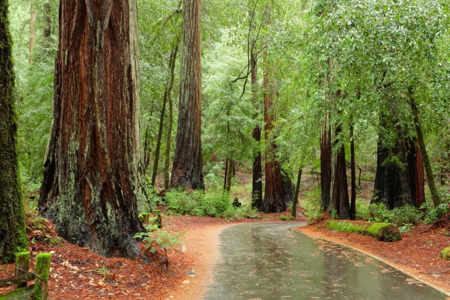 Обои картинки фото природа, дороги, тракт