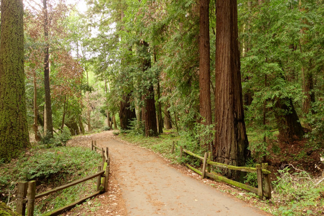 Обои картинки фото природа, дороги, тракт