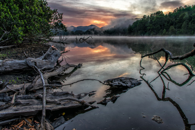 Обои картинки фото природа, реки, озера, река, лес