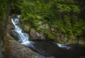 Картинка природа водопады лес деревья водопад
