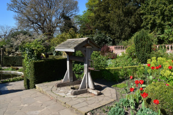 Картинка англия разное садовые+и+парковые+скульптуры тюльпаны деревья