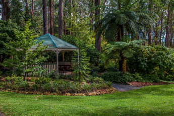 Картинка австралия природа парк деревья пальма трава беседка