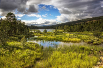 Картинка природа реки озера лес река