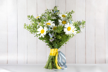 Картинка цветы ромашки букет лента лето