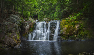 Картинка природа водопады лес деревья водопад
