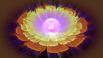 Картинка 3д+графика цветы+ flowers узор фон цвет