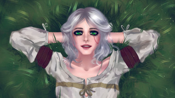 Картинка видео+игры the+witcher цири трава