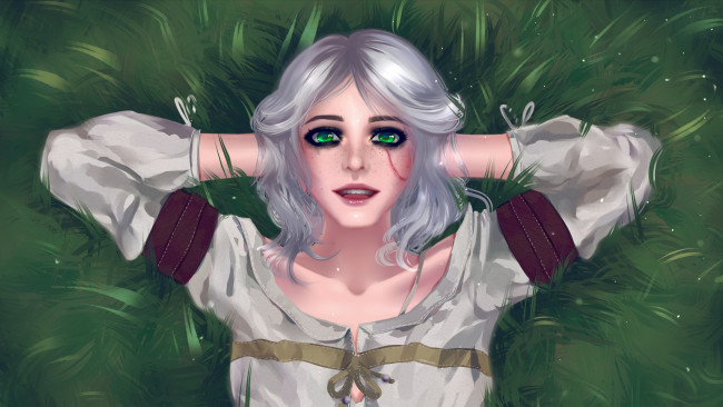 Обои картинки фото видео игры, the witcher, цири, трава