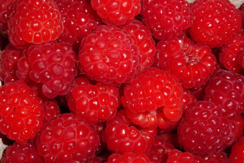 обоя еда, малина, ягоды
