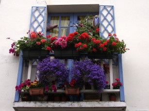 Картинка deutschland цветы разные вместе