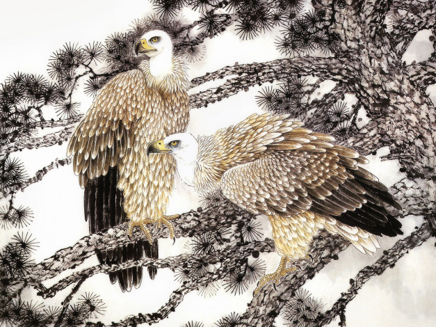 Обои картинки фото 30, рисованные, животные, птицы, орлы