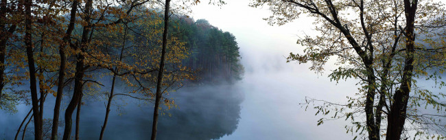 Обои картинки фото природа