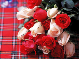 Картинка цветы розы