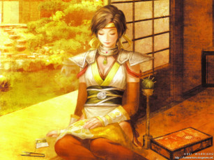 Картинка samurai warriors видео игры