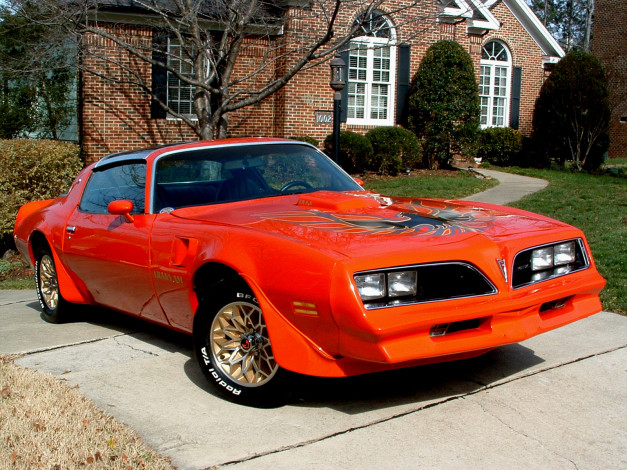 Обои картинки фото автомобили, pontiac