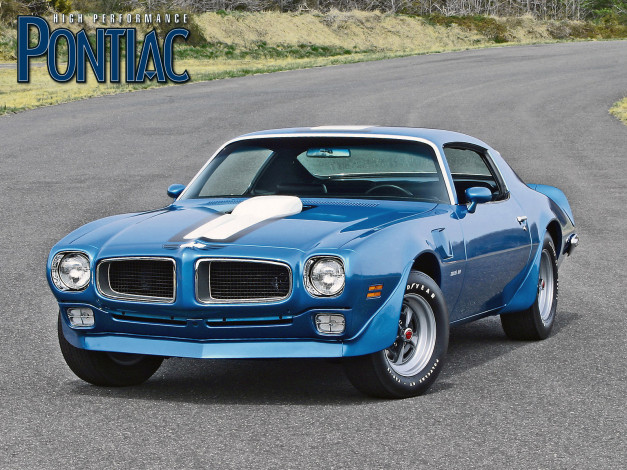 Обои картинки фото автомобили, pontiac