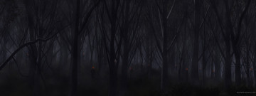 Картинка 3д графика nature landscape природа