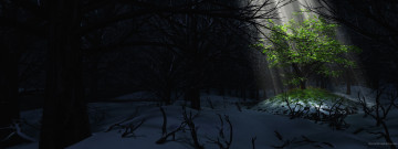 Картинка 3д графика nature landscape природа