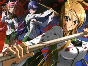Картинка аниме highschool of the dead девушки драка кровь
