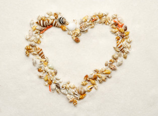 Картинка разное ракушки кораллы декоративные spa камни