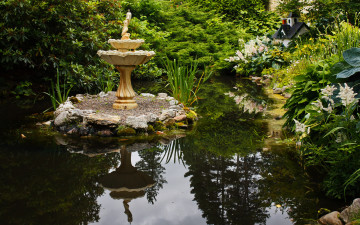 Картинка природа парк вода островок