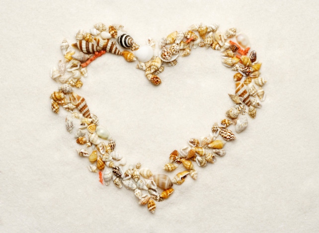 Обои картинки фото разное, ракушки, кораллы, декоративные, spa, камни