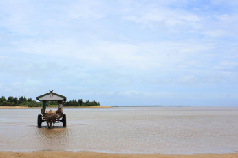 Картинка разное транспортные средства магистрали буйвол вода